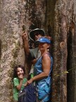 In Big Tree.JPG (70 KB)
